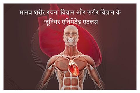 Hindi