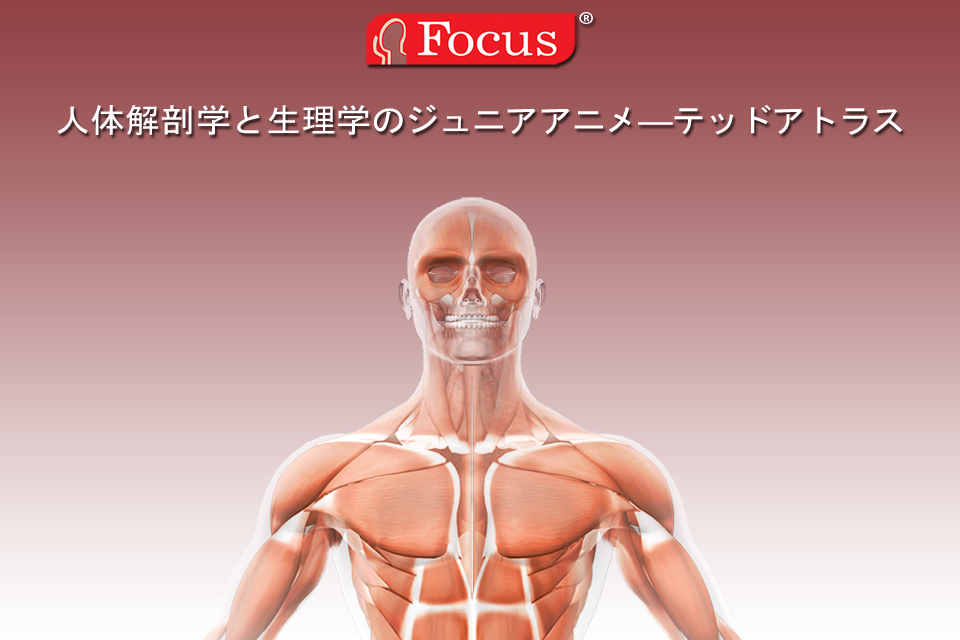 Japanese