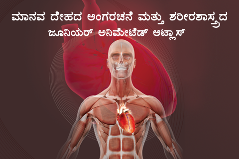 Kannada
