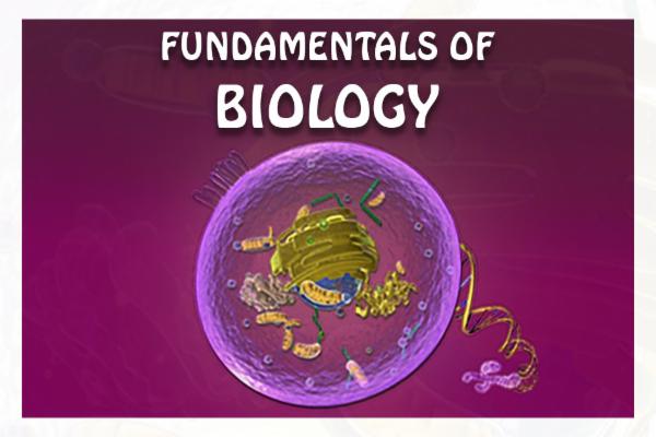 Fundamentals of Biology