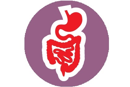 GASTROENTEROLOGY