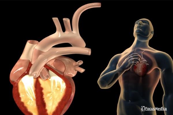 Junior Animated Atlas