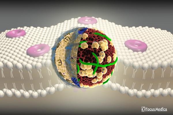 Junior Animated Atlas