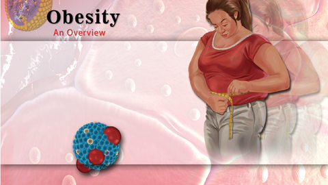 Understanding Obesity