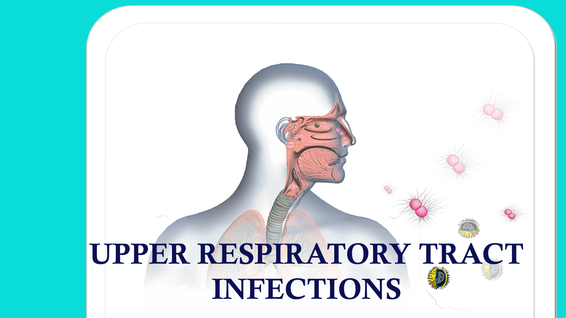 Upper Respiratory Tract Infections (URTI)