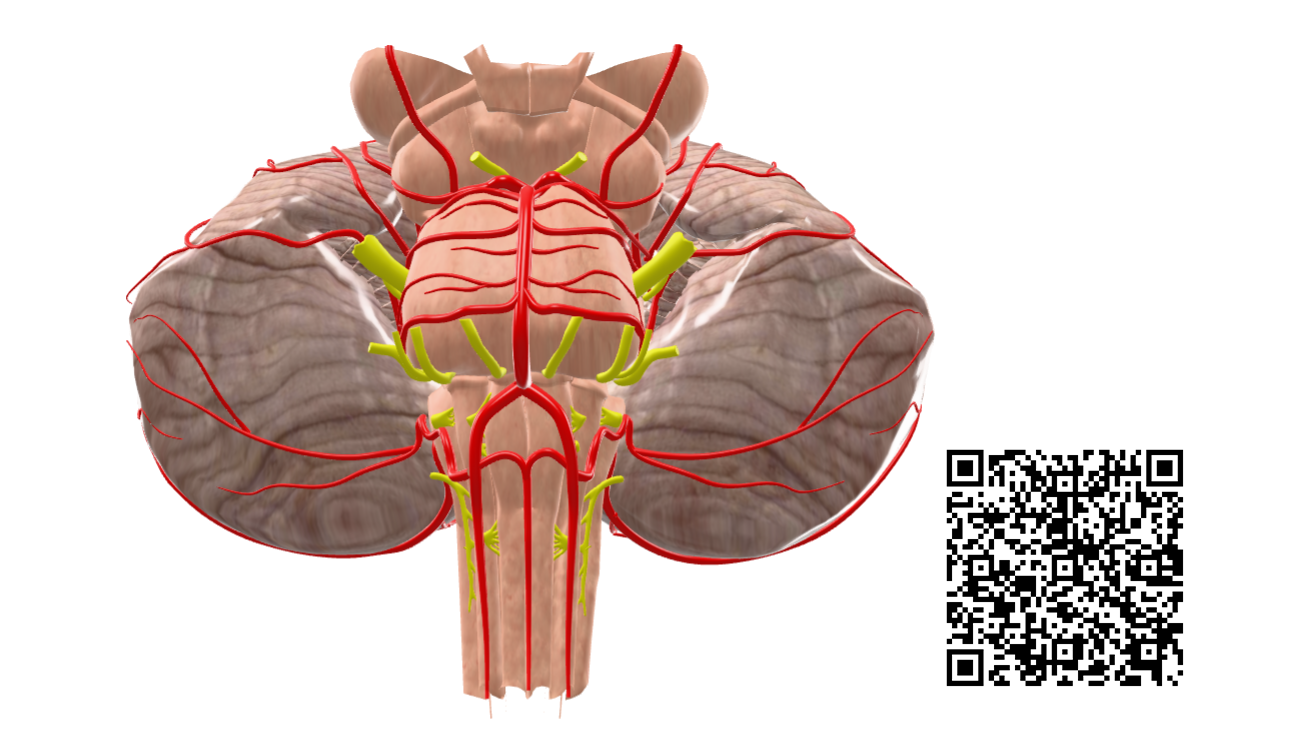 Scan to experience